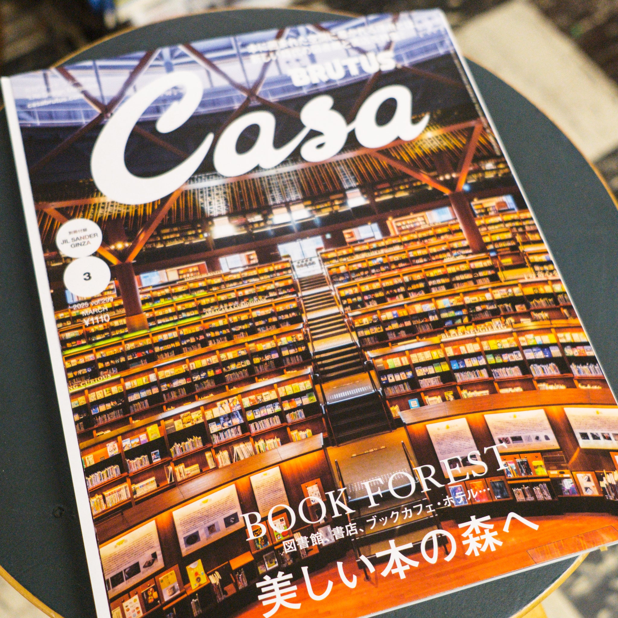 Casa Brutus Magazine - Vol. 299 March 2025