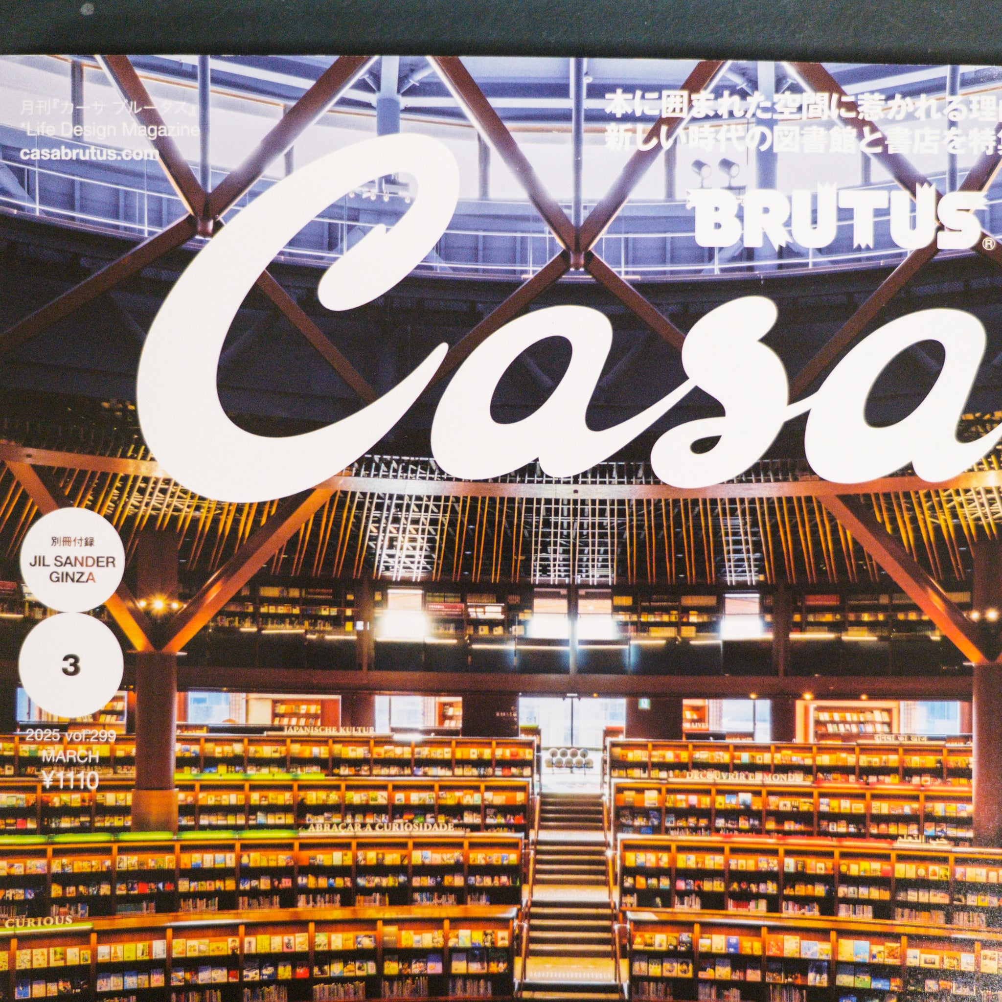 Casa Brutus Magazine - Vol. 299 March 2025